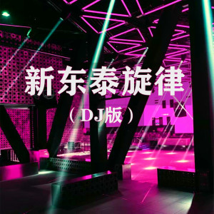 收聽Dj波仔的新東泰旋律 (DJ版)歌詞歌曲