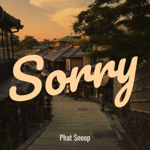 收听Phat Snoop的Sorry (Explicit)歌词歌曲