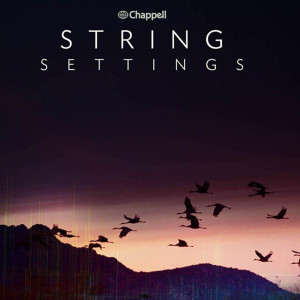 Album String Settings from David Bertrand Holland