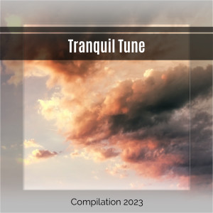 Various Artists的專輯Tranquil Tune