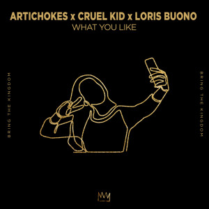 Listen to What You Like (Extended Mix) song with lyrics from Artichokes