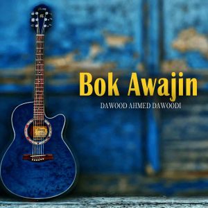 收听Dawood Ahmed Dawoodi的Thai Yakhisher歌词歌曲