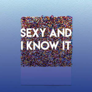 Listen to Sexy and I Know It song with lyrics from CDM Project