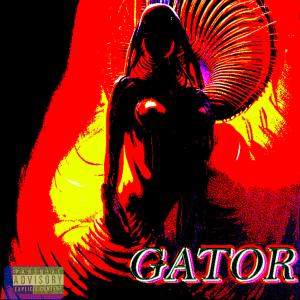 收聽87VM的GATOR (feat. ATC) (Explicit)歌詞歌曲