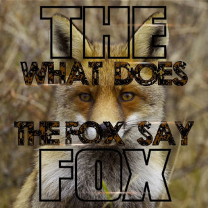 收聽The Fox的What Does the Fox Say (Single Mix)歌詞歌曲