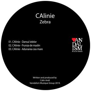 收聽CAlinie的Frunza De Maslin (Original Mix)歌詞歌曲