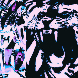 Album Bengal Tigers from Sevendays