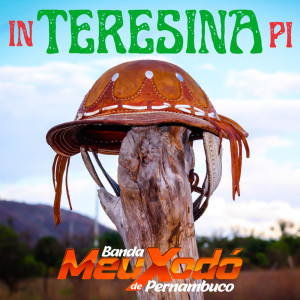 ดาวน์โหลดและฟังเพลง Diz Aí พร้อมเนื้อเพลงจาก Banda Meu Xodó De Pernambuco