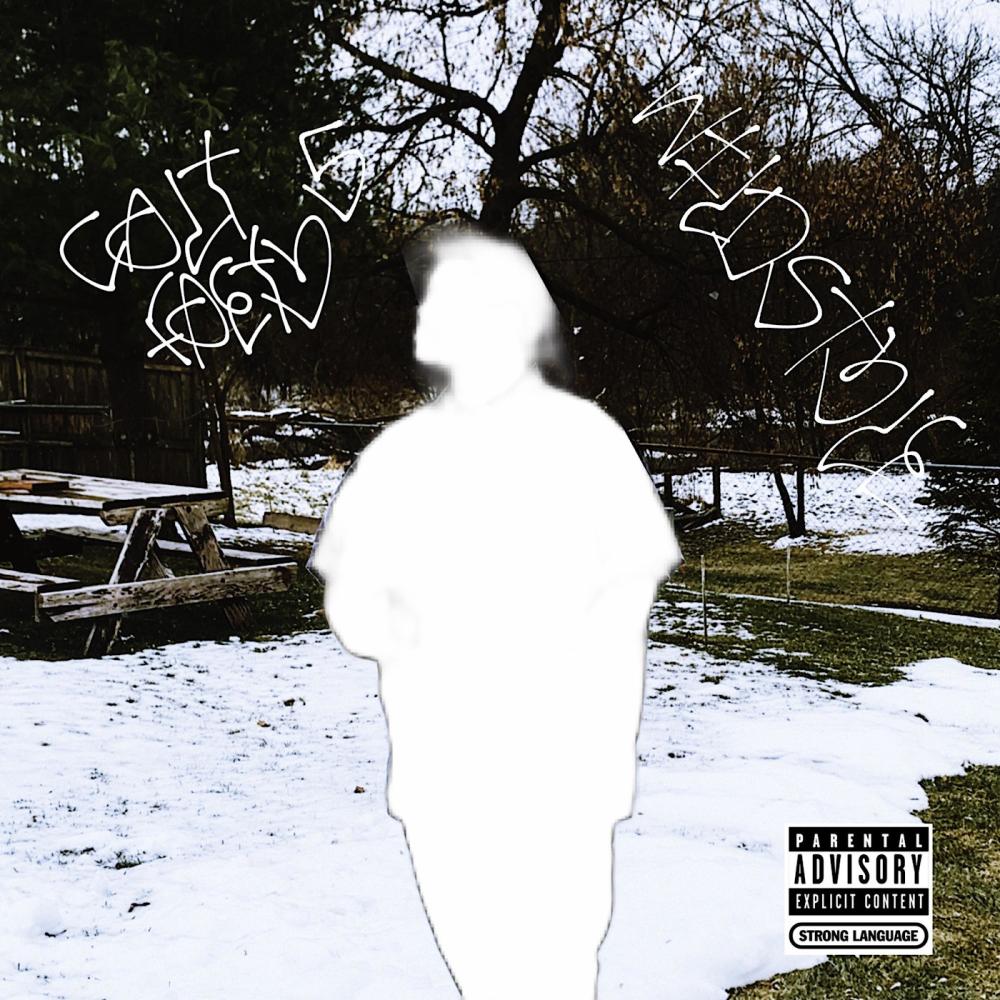 WildStyle (Explicit)