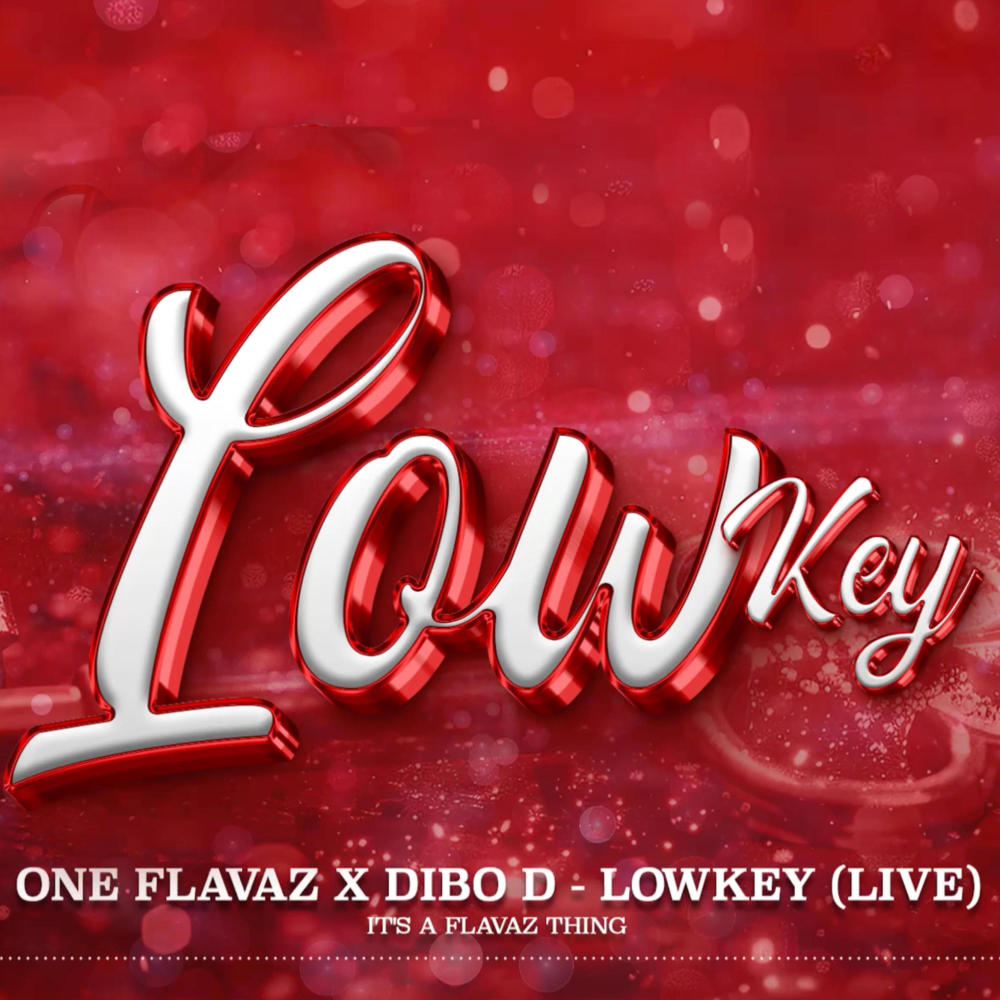 Lowkey (feat. Dibo D) (live)