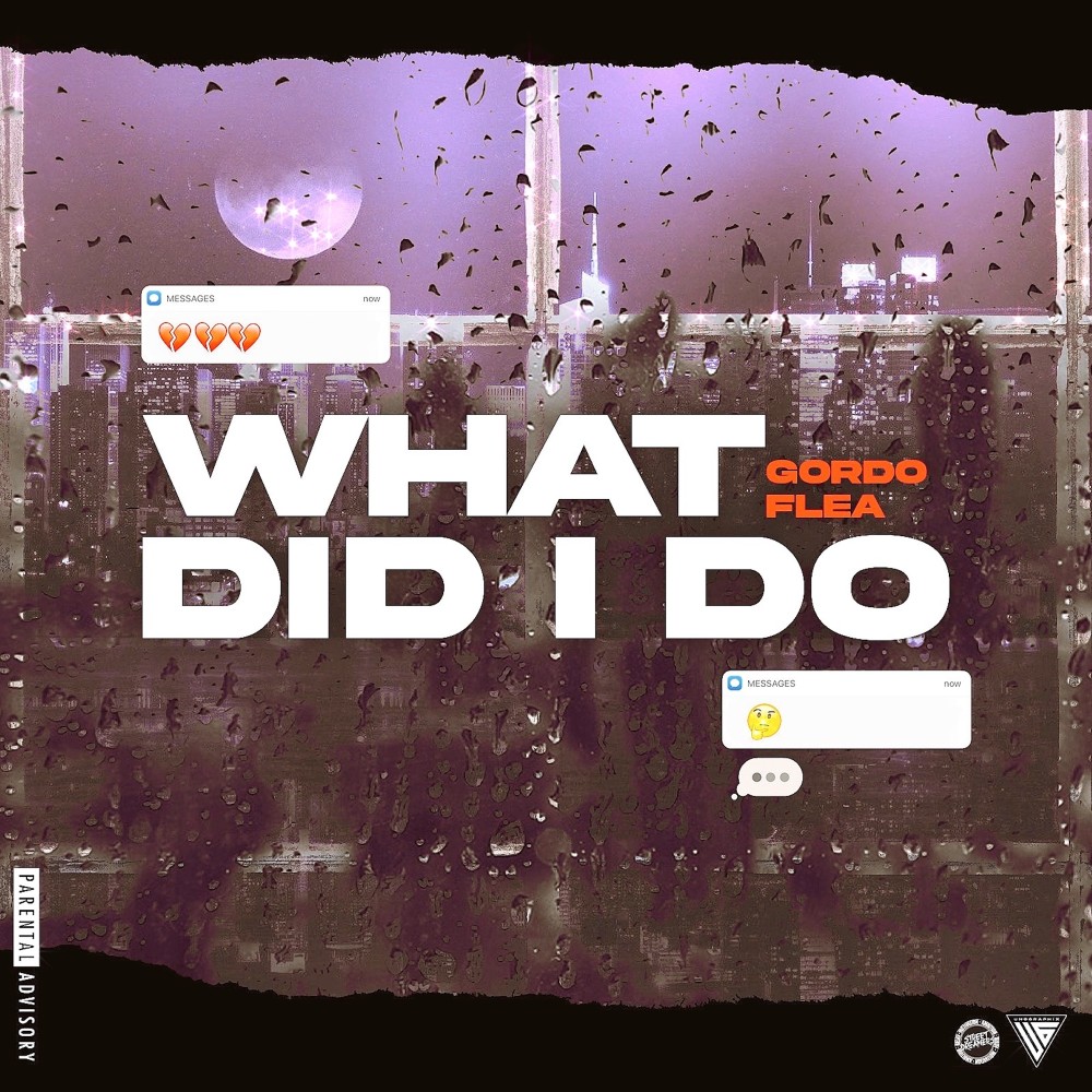 What Did I Do (Explicit)