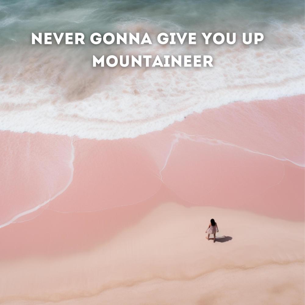 Never Gonna Give You Up