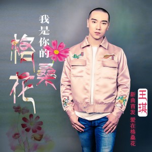Listen to 我是你的格桑花 song with lyrics from 王琪