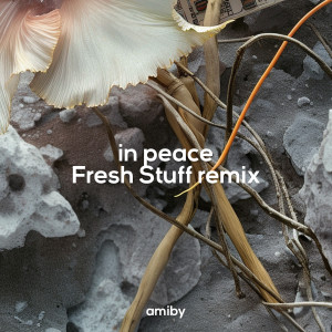 ดาวน์โหลดและฟังเพลง In Peace (Fresh Stuff Remix) พร้อมเนื้อเพลงจาก AmIBy