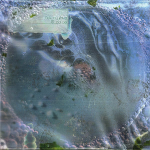 Album zephyr / tyrene from mt. fujitive