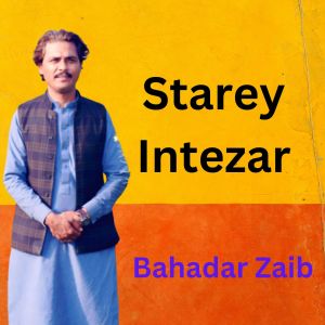 收听Bahadar Zaib的Starey Intezar歌词歌曲