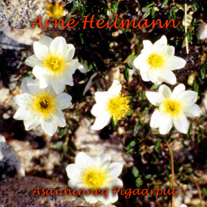 ดาวน์โหลดและฟังเพลง Seqineq พร้อมเนื้อเพลงจาก Arne Heilmann