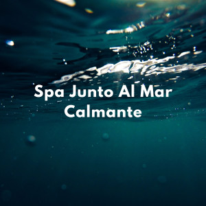 Tranquilidad Costera: Spa Junto Al Mar Calmante dari Las Olas Del Mar