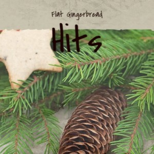 Dengarkan lagu Santa's Hooked on Country Music nyanyian Jimmy Flynn dengan lirik