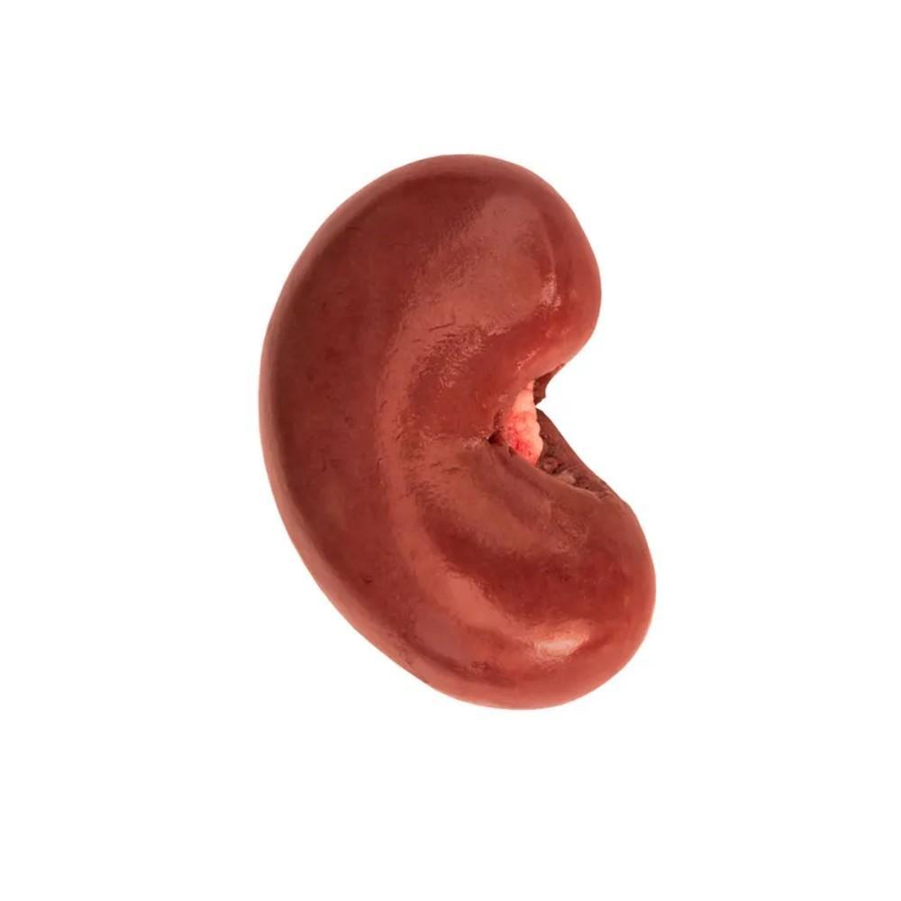 LAMB BOLLOCK (Explicit)