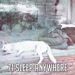 Album 71 Sleep Anywhere from Serenity Spa Music Relaxation