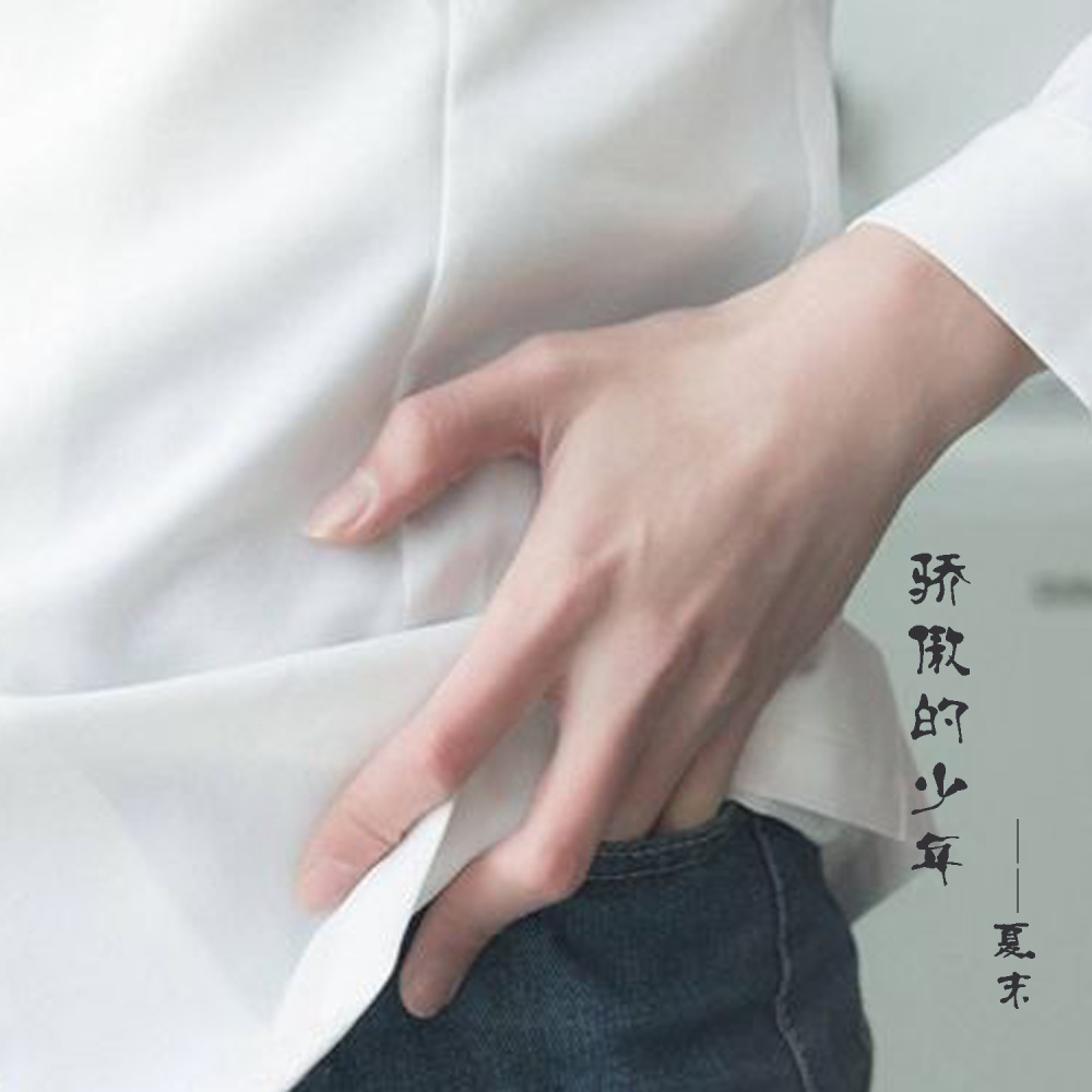 骄傲的少年 (伴奏)