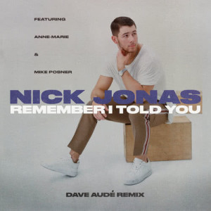 ดาวน์โหลดและฟังเพลง Remember I Told You (Dave Audé Remix) (Dave Audé Remix|Explicit) พร้อมเนื้อเพลงจาก Nick Jonas