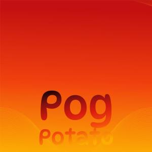 Album Pog Potato from Various