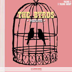 收听The Byrds的She's the Kind of Girl歌词歌曲