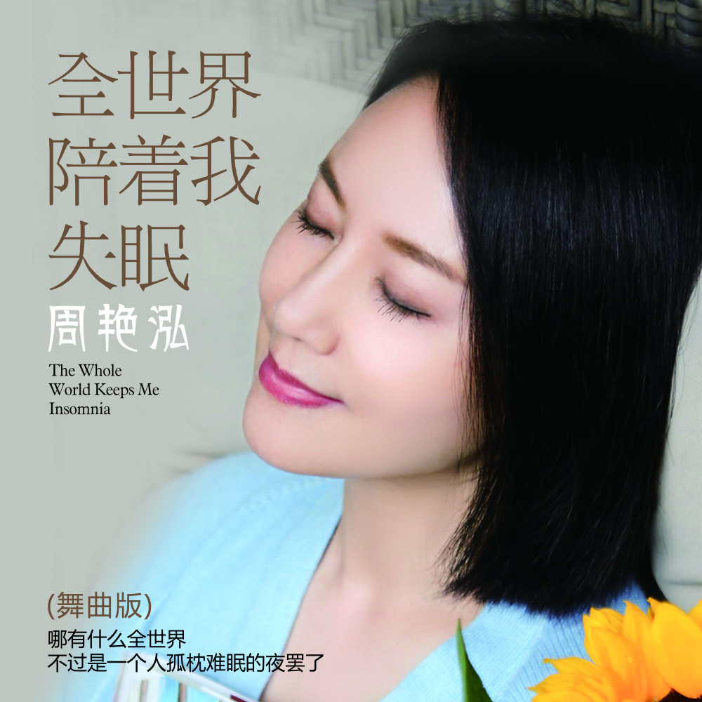 全世界陪着我失眠（DJ版） (其他)
