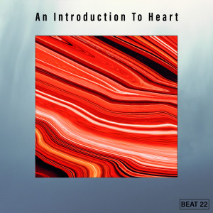 Various Artists的專輯An Introduction To Heart Beat 22