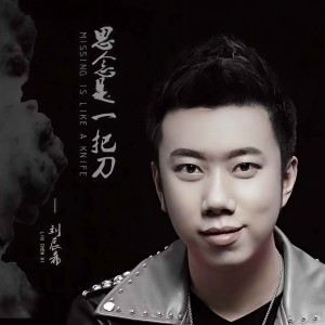 Album 思念是一把刀（慢速版） from 刘辰希