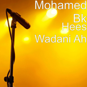 Listen to Hees Wadani Ah song with lyrics from Mohamed Bk