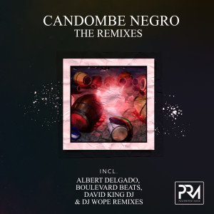 Listen to El Canto (DJ Wope Remix) song with lyrics from PolyRhythm