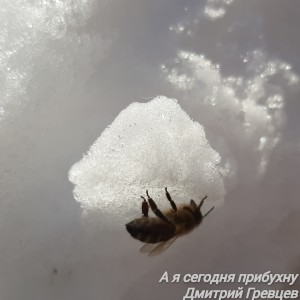 Listen to А я сегодня прибухну song with lyrics from Дмитрий Гревцев