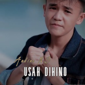 ดาวน์โหลดและฟังเพลง Usah Dihino พร้อมเนื้อเพลงจาก Andino N.S