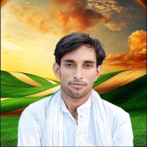 收聽Narendra Sattawan的Maiji Mandir Aage Pipli (feat. Raju Koliwada)歌詞歌曲