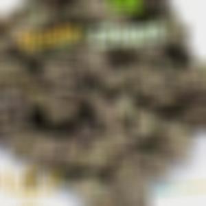 收聽Spaz1Music的Rasta Chant歌詞歌曲