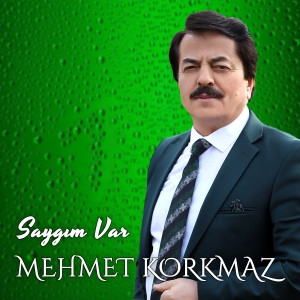 收聽Mehmet Korkmaz的Saygım Var歌詞歌曲