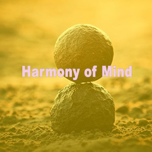 Raol Marquis的專輯Harmony of mind