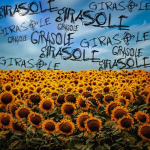 收聽Yano的Girasole (Explicit)歌詞歌曲