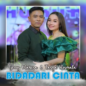 Gerry Mahesa的專輯Bidadari Cinta