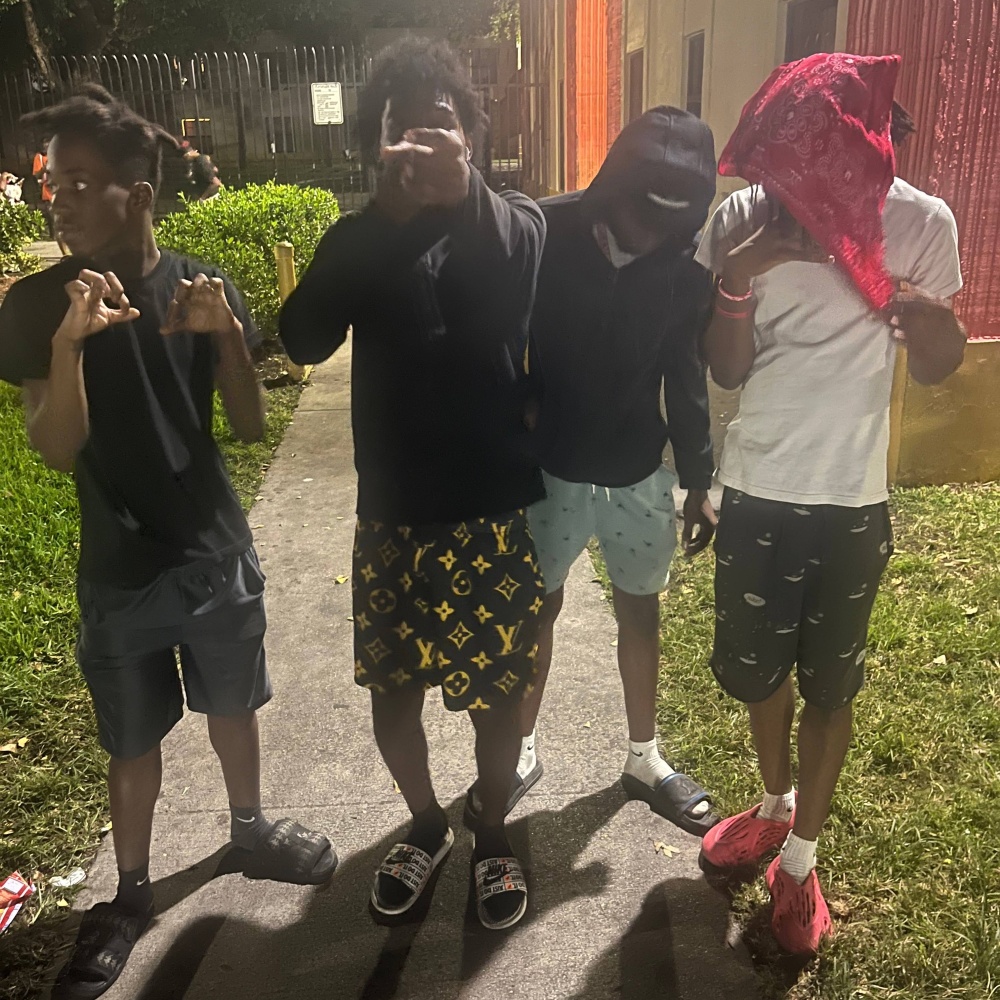 HopOutGang (feat. Kfazo & 556) (Explicit)