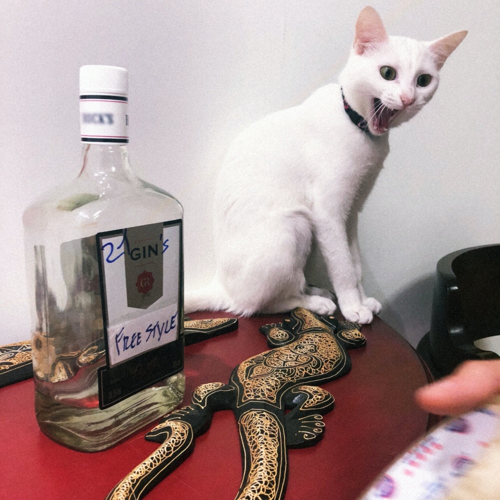 21 Gin's Freestyle