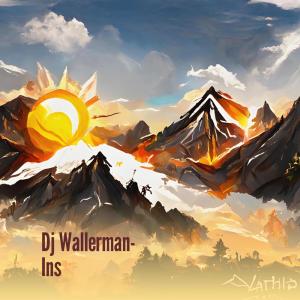 Dengarkan Dj Wallerman- Ins (Cover) lagu dari Apriyanto dengan lirik