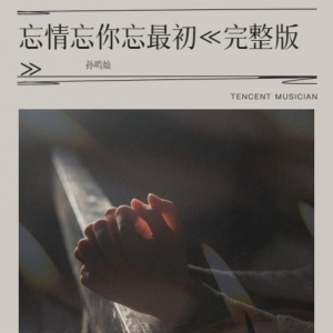 Listen to 忘情忘你忘最初《完整版》 (伴奏) song with lyrics from 孙鸣灿