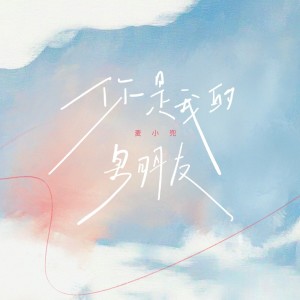 麦小兜的专辑你是我的男朋友