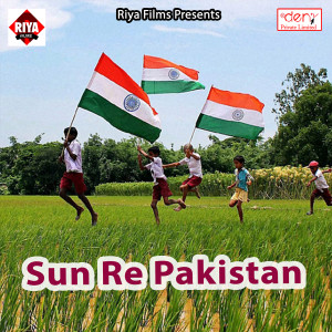 Listen to Delhi Wali Chhaudi song with lyrics from Avinash Bedardi