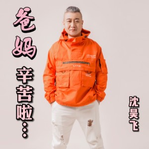 Listen to 爸妈辛苦啦 (伴奏) song with lyrics from 沈昊飞