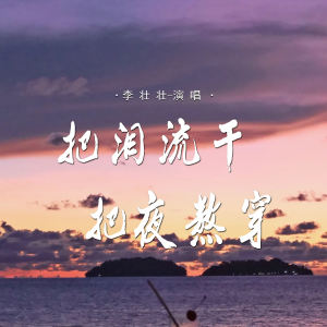 Album 把泪流干把夜熬穿 from 李壮洋